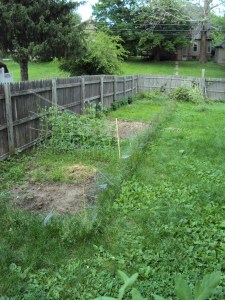 Picture of garden not finished being turned over