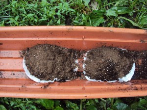 Image of dirt being place on coffee filters in window box first