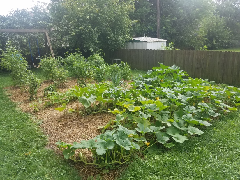 Vegetable Garden 2018