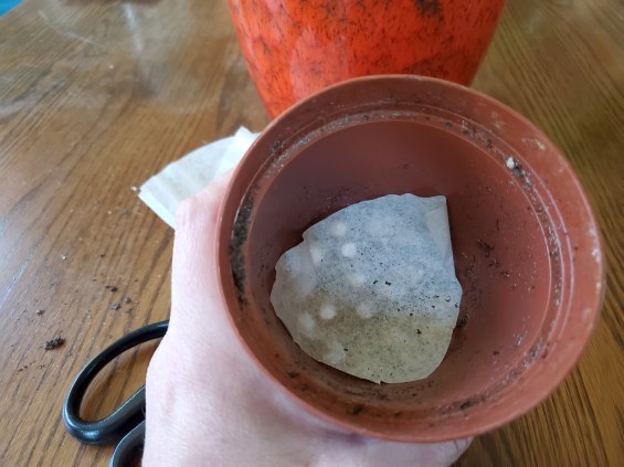Using a coffee filter to prevent soil from falling out the holes in the bottom of the pot