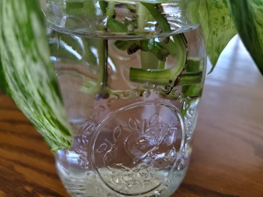 Showing the node fully submersed in water